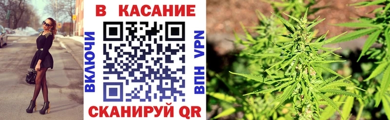 Где купить Егорьевск МАРИХУАНА  mega tor  Cocaine  ГАШИШ  Меф 