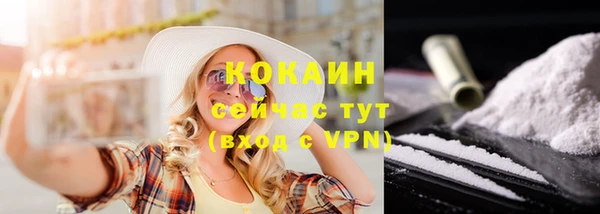 сатива Майский