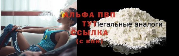 ПСИЛОЦИБИНОВЫЕ ГРИБЫ Артём