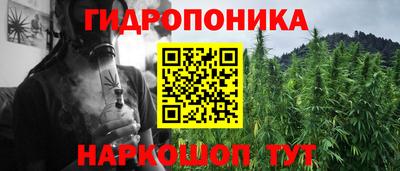 PSILOCYBIN Абакан