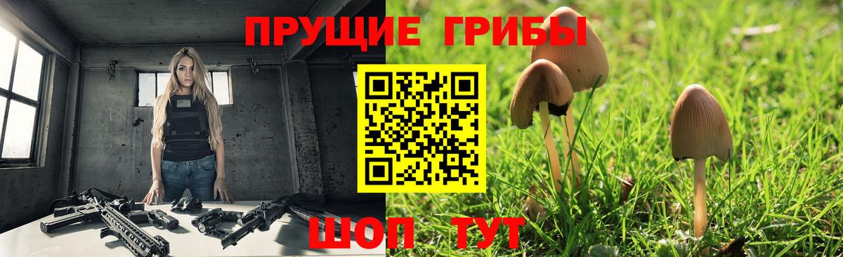 Галлюциногенные грибы GOLDEN TEACHER Егорьевск